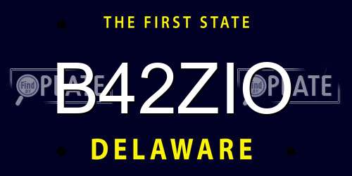 B42ZIO Delaware License Plate