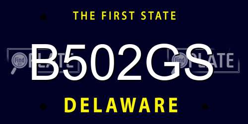 B502GS Delaware License Plate