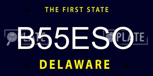 B55ESO Delaware License Plate