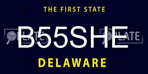 B55SHE Delaware License Plate