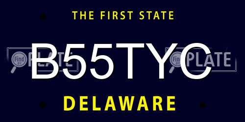 B55TYC Delaware License Plate