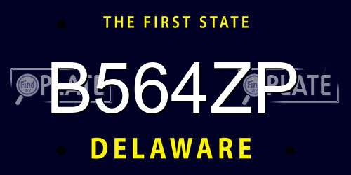 B564ZP Delaware License Plate