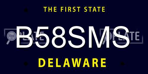 B58SMS Delaware License Plate