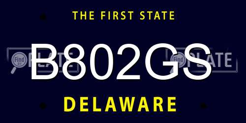 B802GS Delaware License Plate