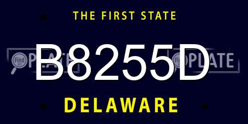 B8255D Delaware License Plate