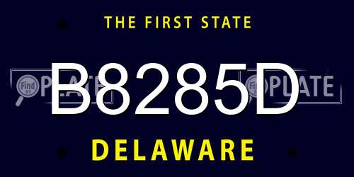 B8285D Delaware License Plate