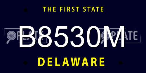 B8530M Delaware License Plate