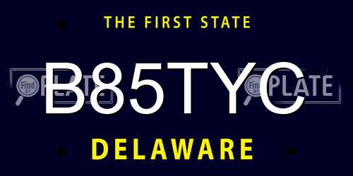 B85TYC Delaware License Plate