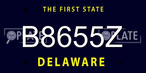 B8655Z Delaware License Plate