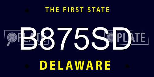 B875SD Delaware License Plate
