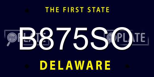 B875SO Delaware License Plate