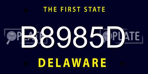B8985D Delaware License Plate