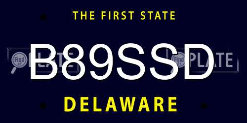 B89SSD Delaware License Plate
