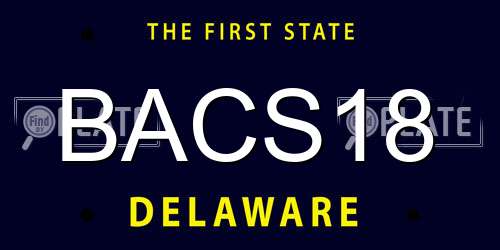 BACS18 Delaware License Plate