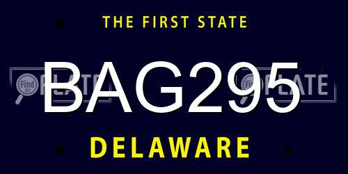 BAG295 Delaware License Plate