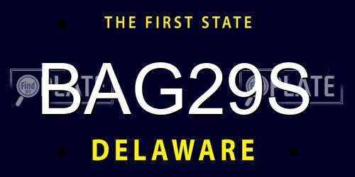 BAG29S Delaware License Plate