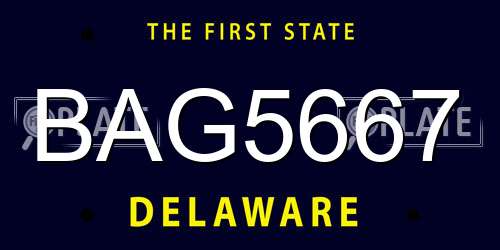 BAG5667 Delaware License Plate