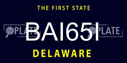 BAI65I Delaware License Plate