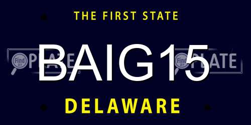 BAIG15 Delaware License Plate