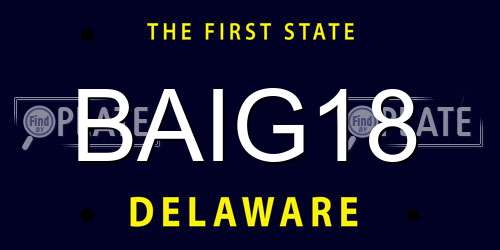 BAIG18 Delaware License Plate