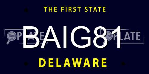 BAIG81 Delaware License Plate
