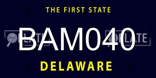 BAM040 Delaware License Plate