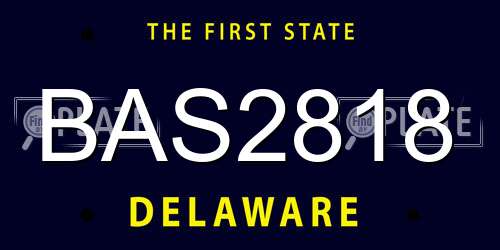 BAS2818 Delaware License Plate