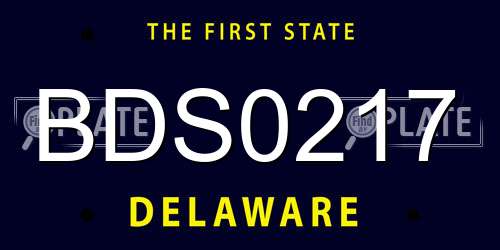 BDS0217 Delaware License Plate
