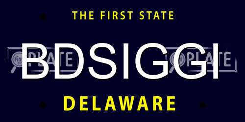 BDSIGGI Delaware License Plate