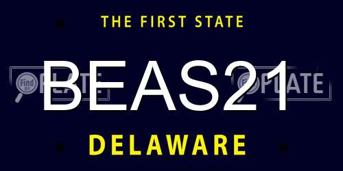 BEAS21 Delaware License Plate