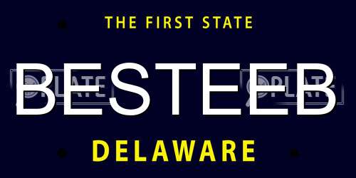 BESTEEB Delaware License Plate