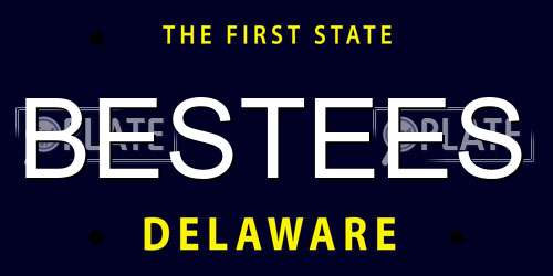 BESTEES Delaware License Plate