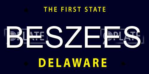 BESZEES Delaware License Plate
