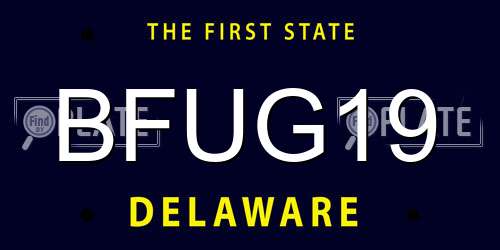 BFUG19 Delaware License Plate