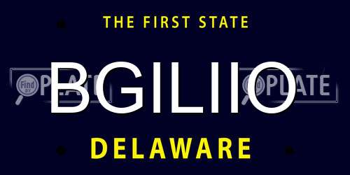 BGILIIO Delaware License Plate