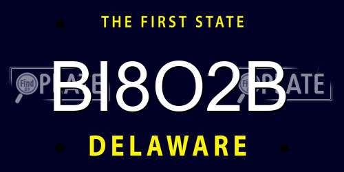 BI8O2B Delaware License Plate