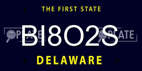 BI8O2S Delaware License Plate