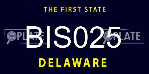 BIS025 Delaware License Plate