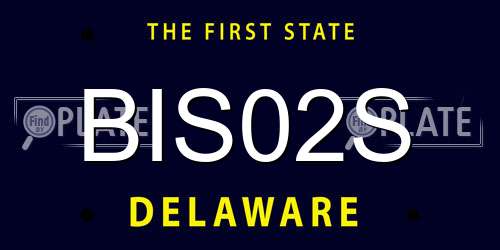 BIS02S Delaware License Plate