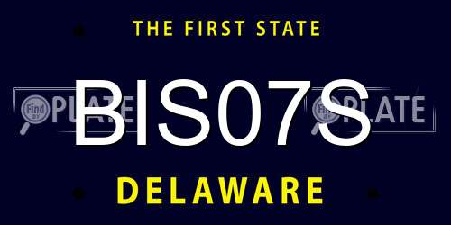 BIS07S Delaware License Plate