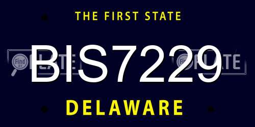 BIS7229 Delaware License Plate