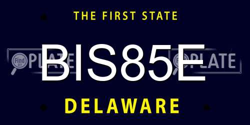 BIS85E Delaware License Plate