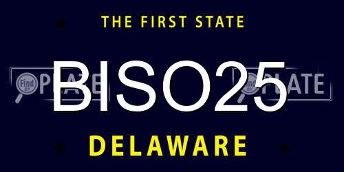 BISO25 Delaware License Plate