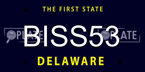 BISS53 Delaware License Plate