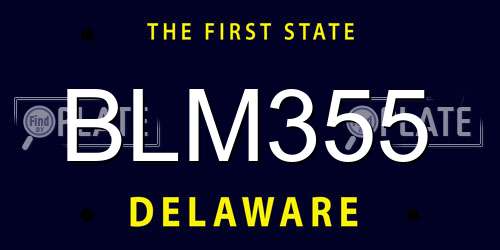 BLM355 Delaware License Plate
