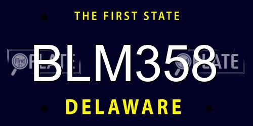 BLM358 Delaware License Plate