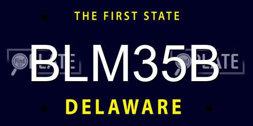 BLM35B Delaware License Plate