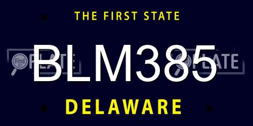BLM385 Delaware License Plate