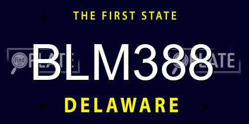 BLM388 Delaware License Plate