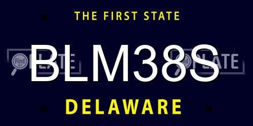 BLM38S Delaware License Plate